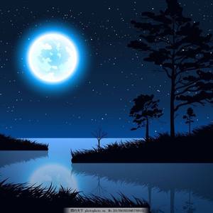 久久精品中文字幕第一页
