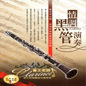 久久精品中文字幕第一页
