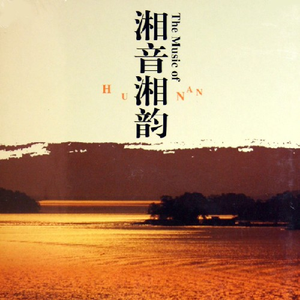 久久精品中文字幕第一页
